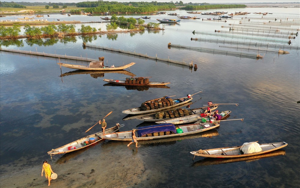 Ngu My Thanh Fishery Village Tourist Site